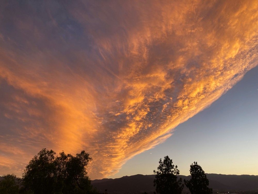 Фотография автора Елена