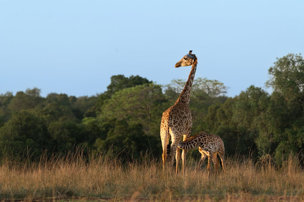 Photograph by Anuradha Agrawal