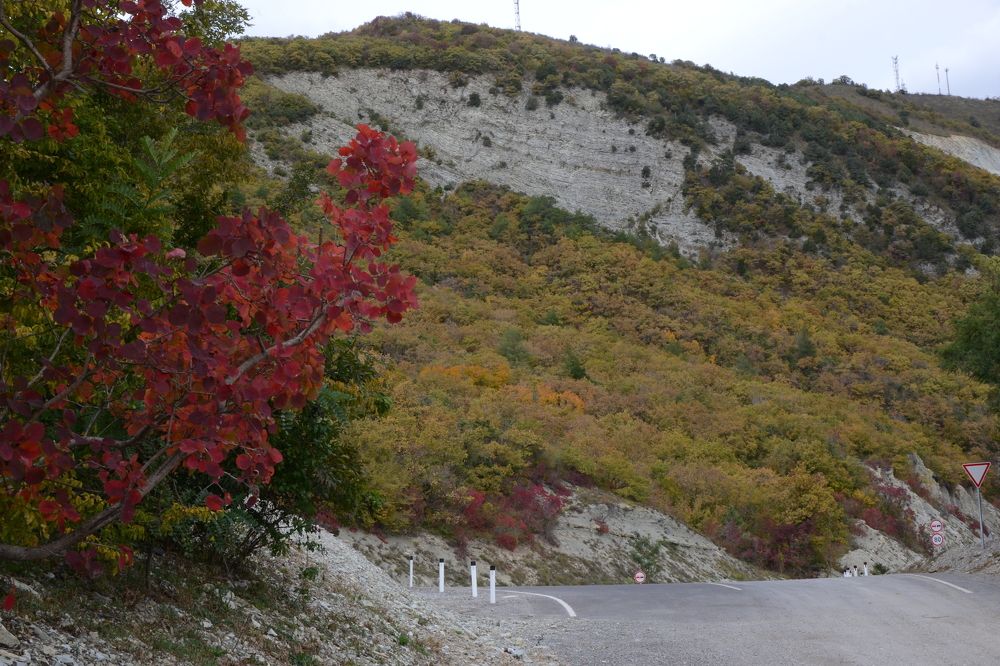 Photograph by Aleksey