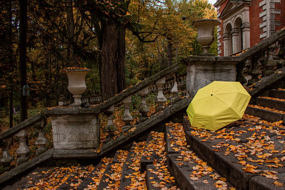 Photograph by Алена