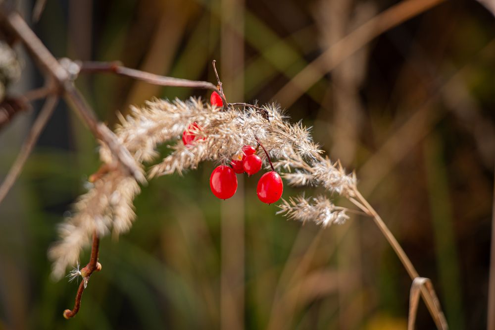 Photograph by Алена