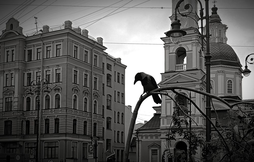 Photo #8265132
