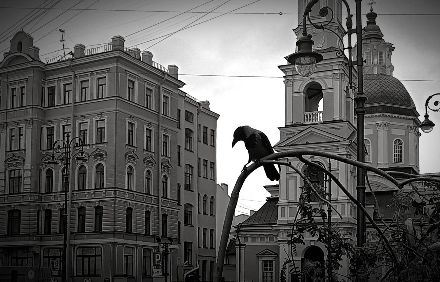 Photo #8265132