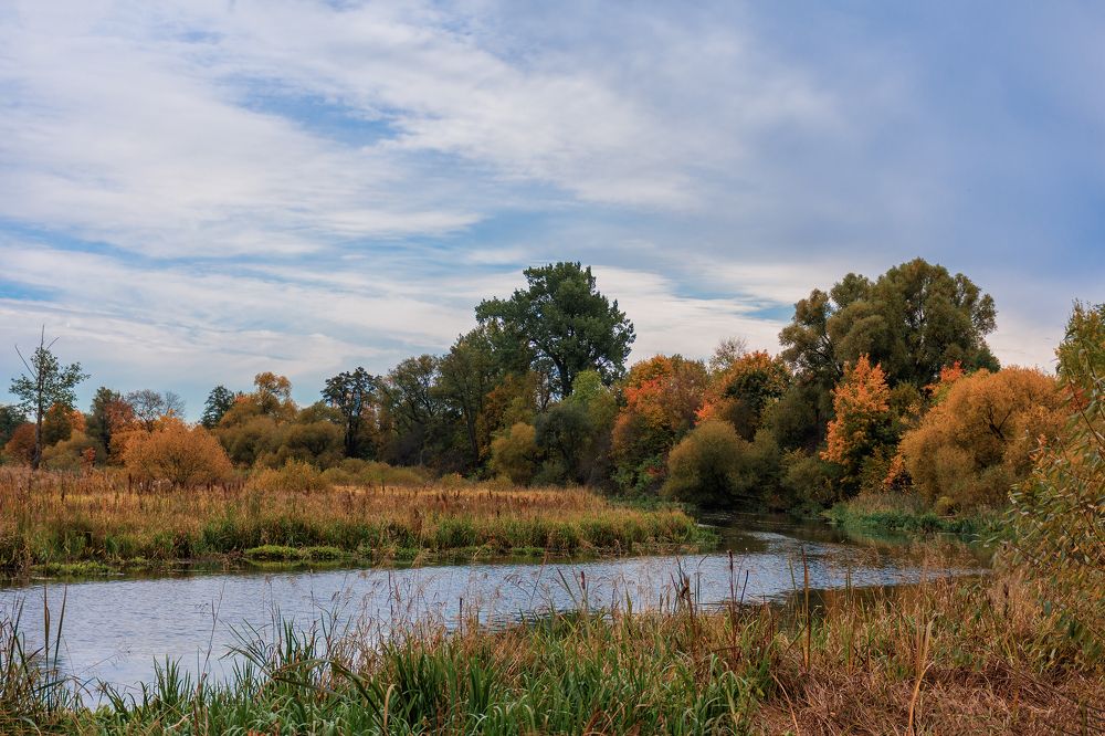 Photograph by Елена Стещенко