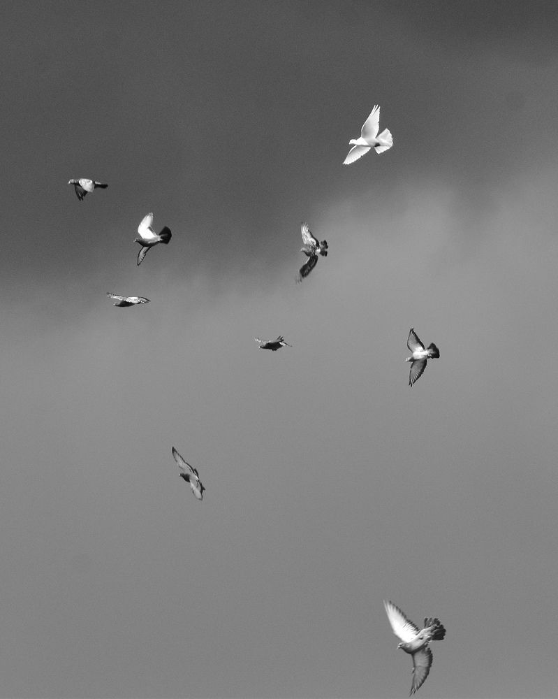 Photograph by Татьяна Носкович