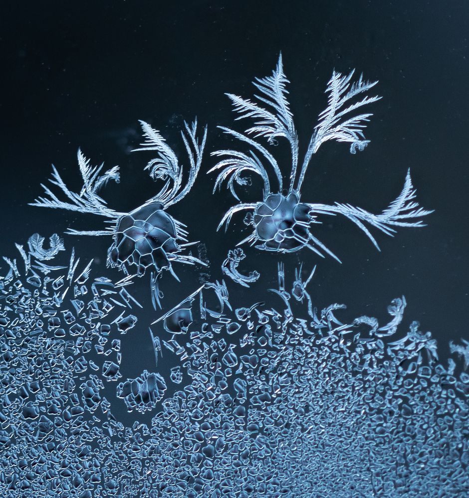 Photograph by Марина Новожилова