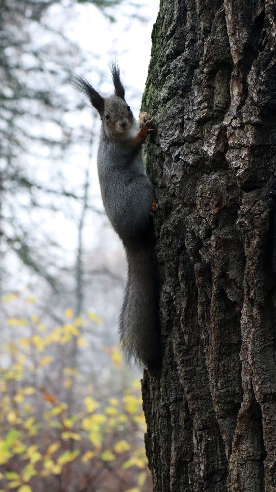 Photograph by Анна Сойтту