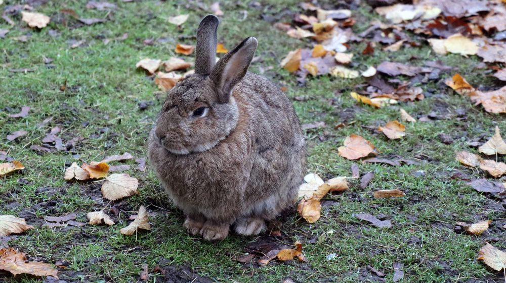 Photograph by Анна Сойтту