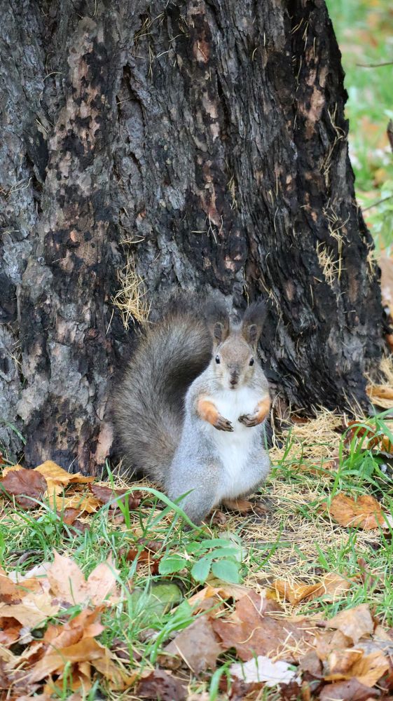 Photograph by Анна Сойтту