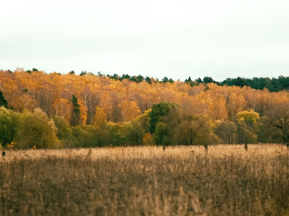 Photograph by Борис Челышев