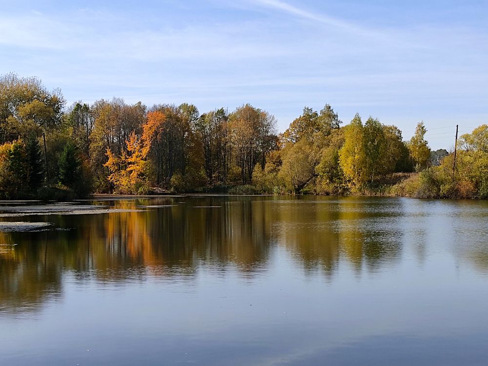 Тихая обитель