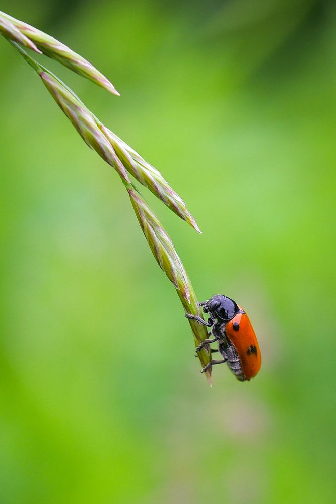 Photograph by Ковалёв Игорь