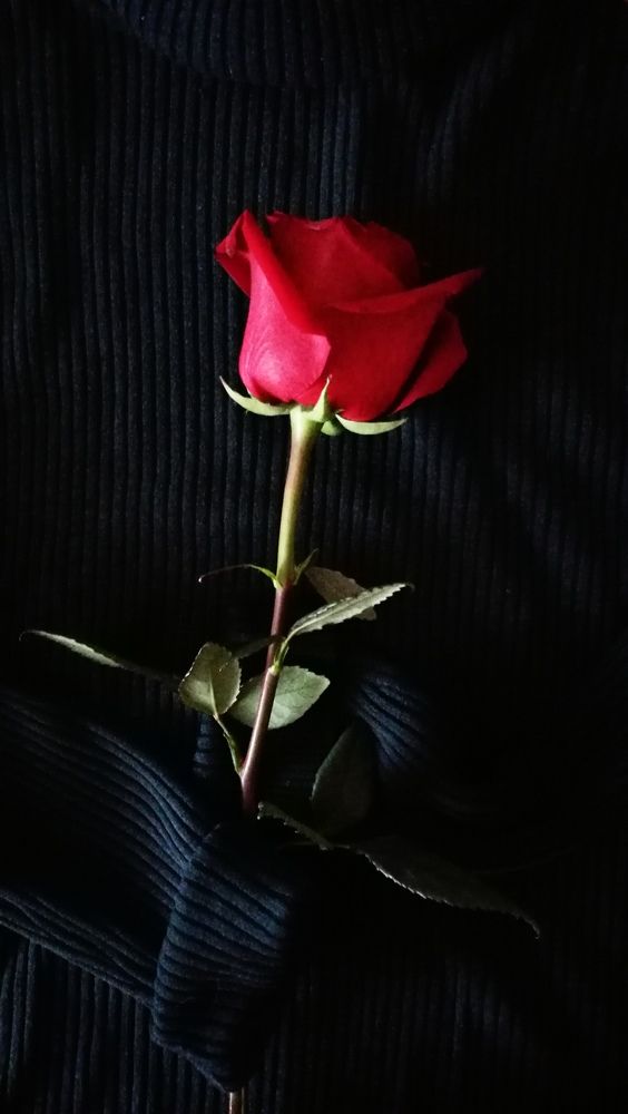 Photograph by Ирина Алпацкая