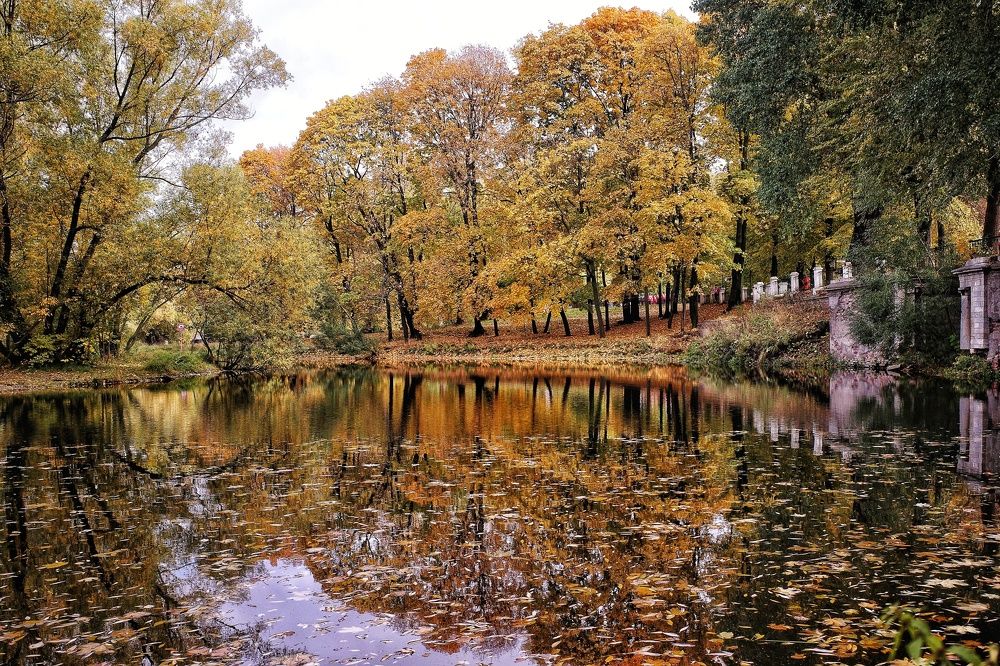 Краски Осени.