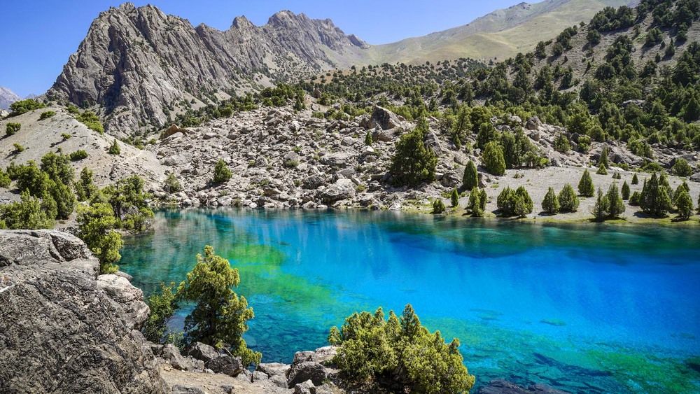 Фотография автора Татьяна Добровольская