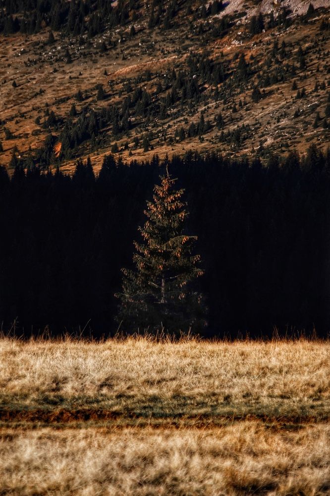 Photograph by Sadrija Ljaić