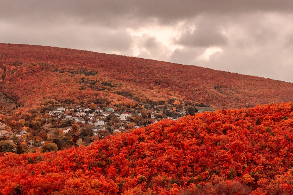 Photograph by Жанна Бодашко