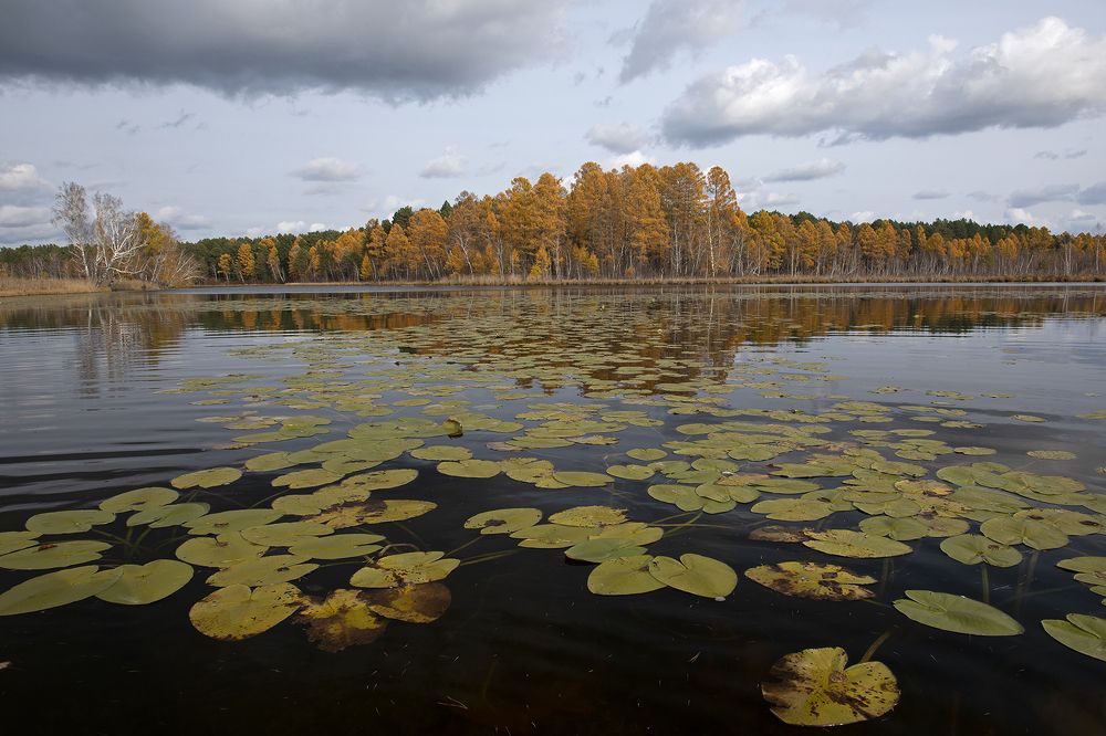 Прогулка по озеру.