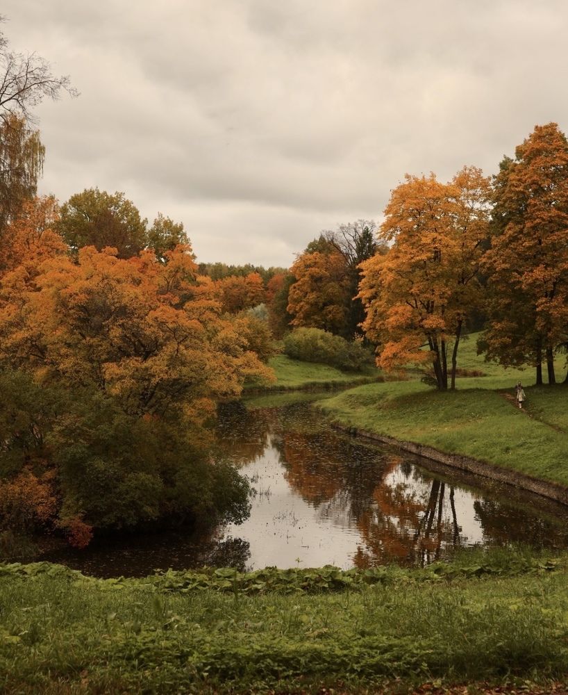 Photograph by Ирина Кочеткова