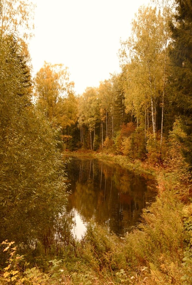 Photograph by Ирина Кочеткова