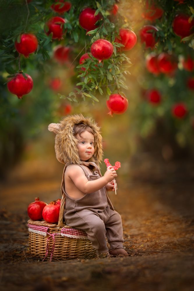 Photograph by Hamutal Avioz