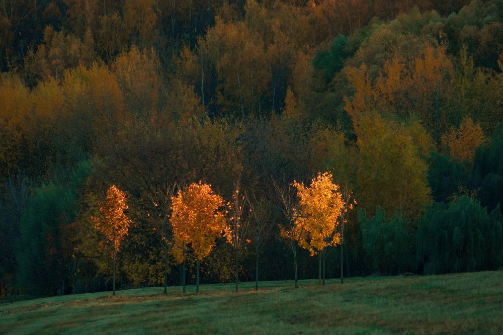 Photograph by Pavel Morozov