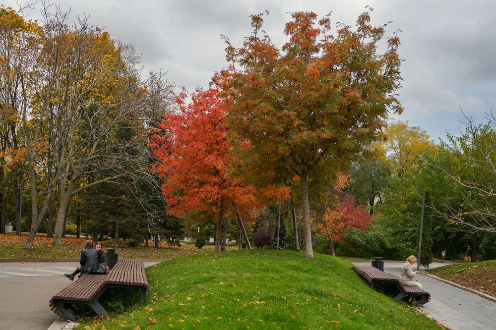 Photograph by Pavel Morozov