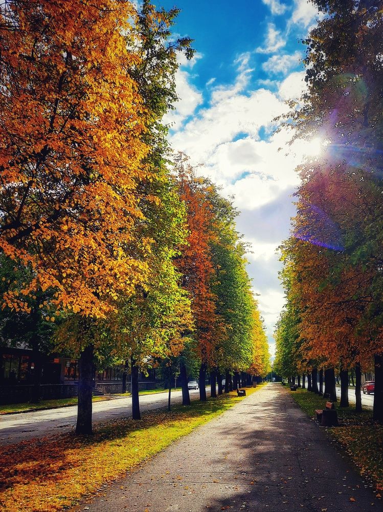 yellow, green, yellow