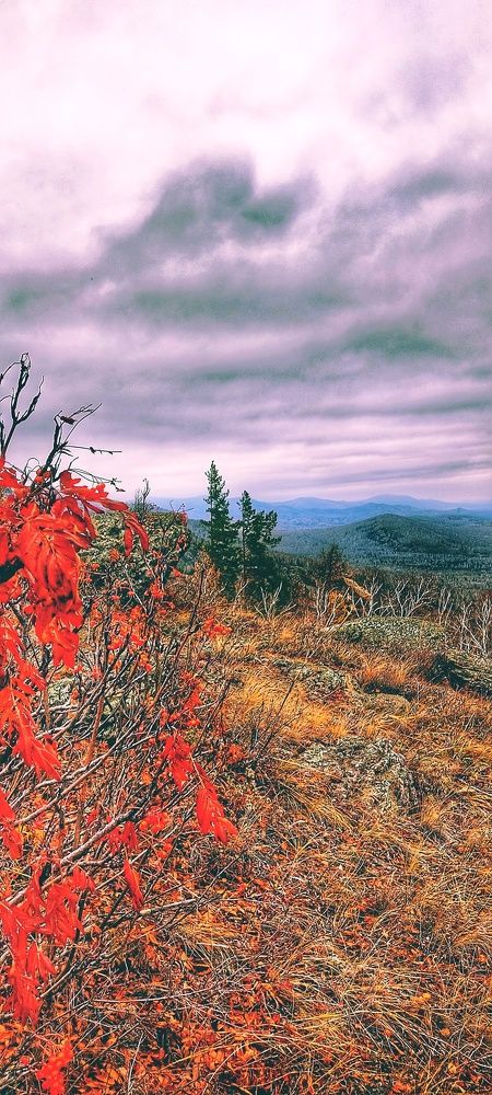 Photograph by Валентин Волк