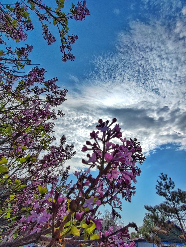 Photograph by Валентина Куцерук