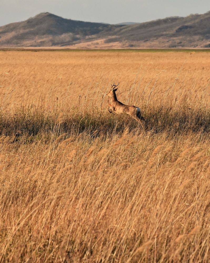Photograph by Валентина Куцерук