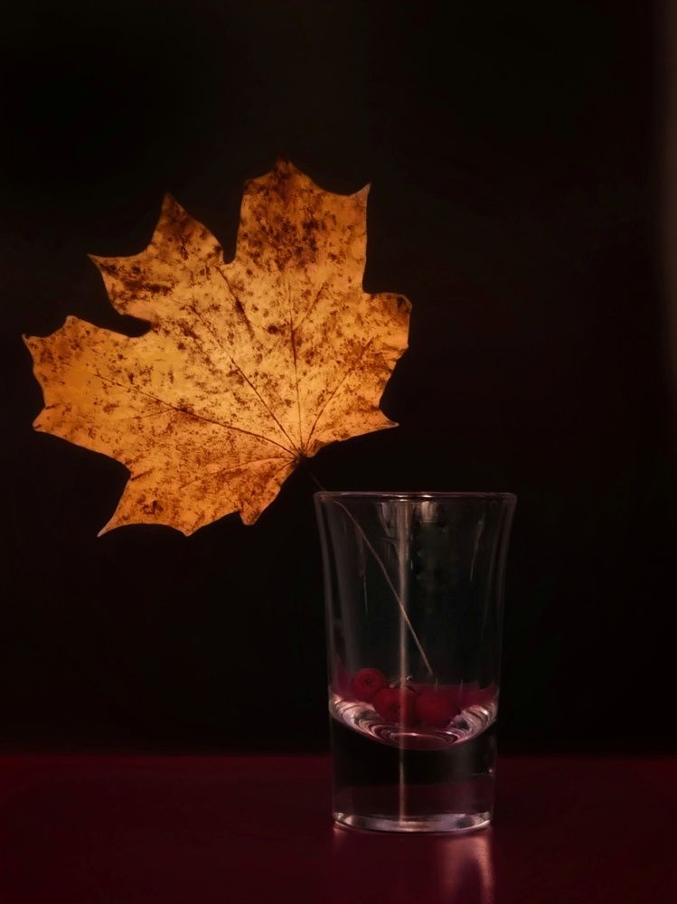 Фотография автора Светлана Алексеева