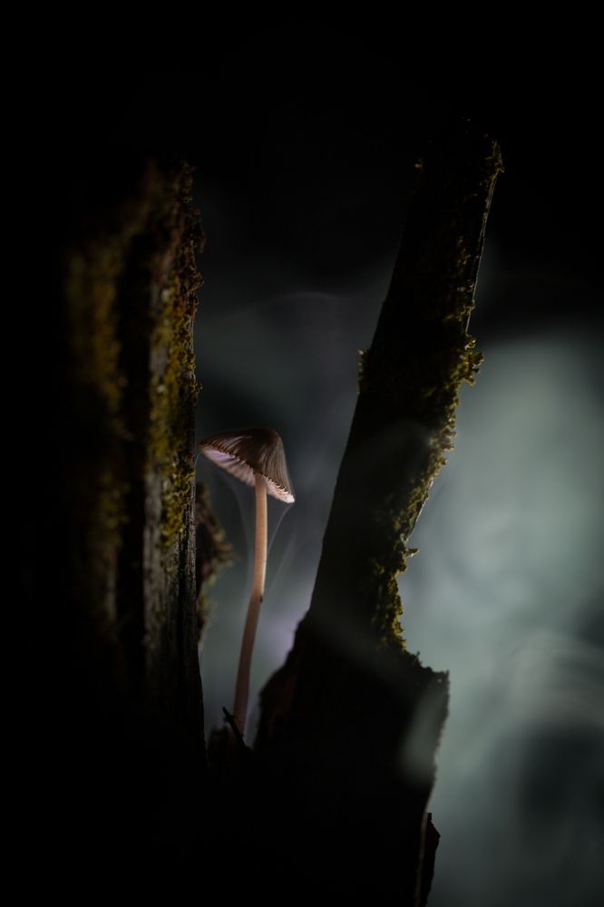 Одиночество