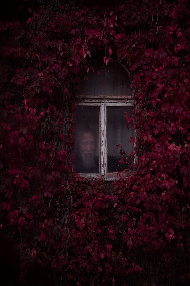 Фотография автора Дмитрий Ляшеев