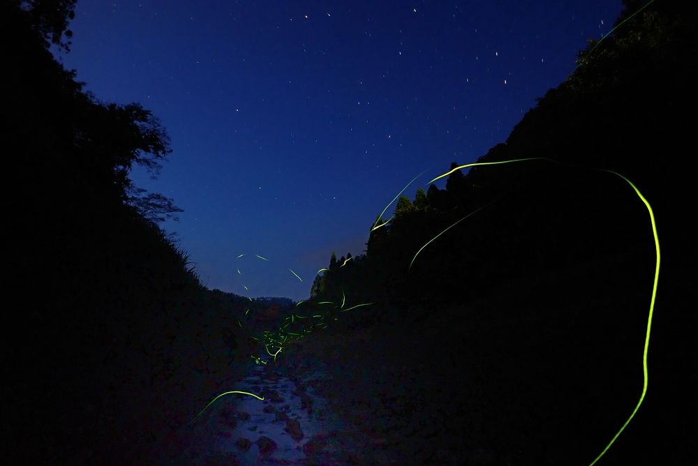 Photograph by Ohta Sigeki