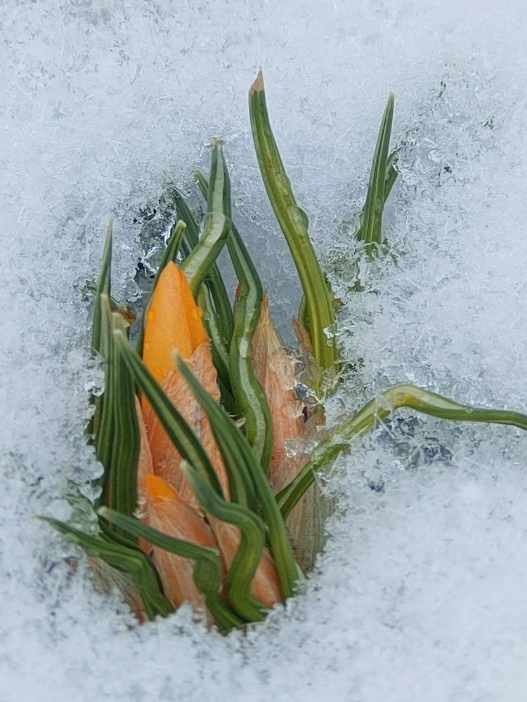 Photograph by Оксана Губанова