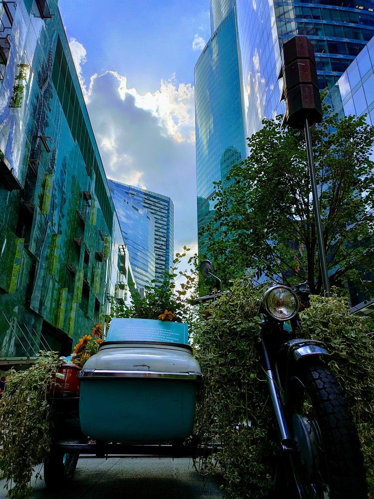 Photograph by Оксана Губанова