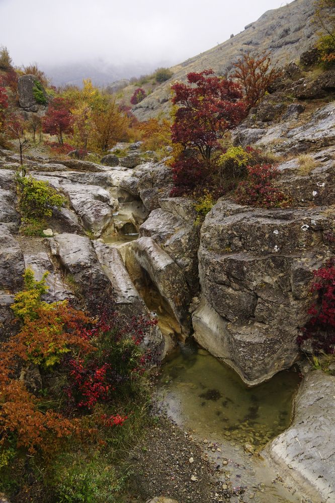 Photograph by косяк