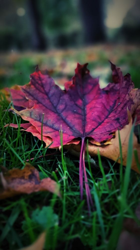 Photograph by Dijana Brozek