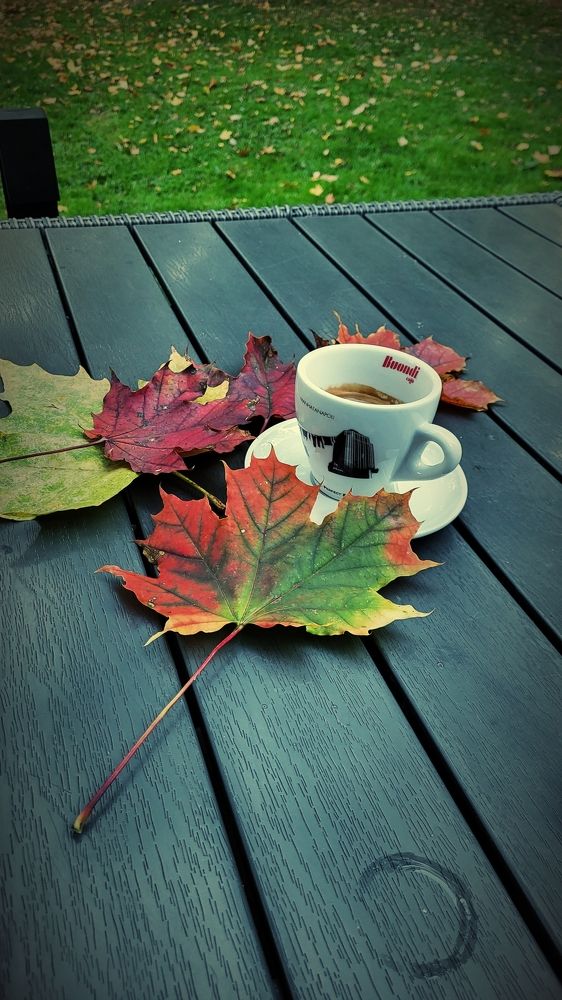 Photograph by Dijana Brozek