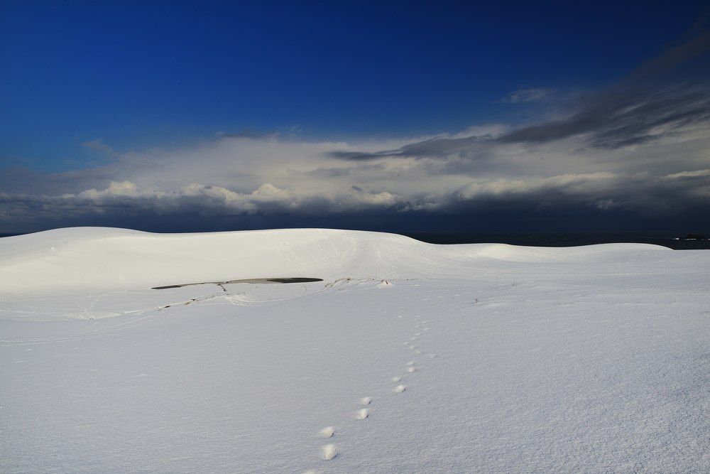 Photograph by Ohta Sigeki