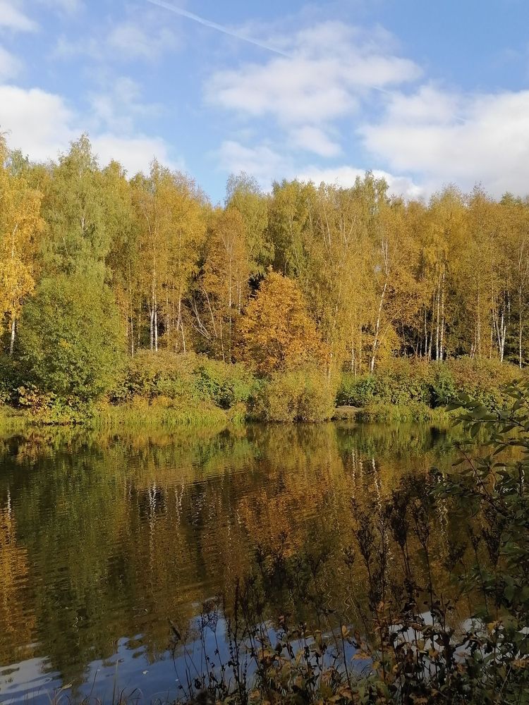 Photograph by Анжелика