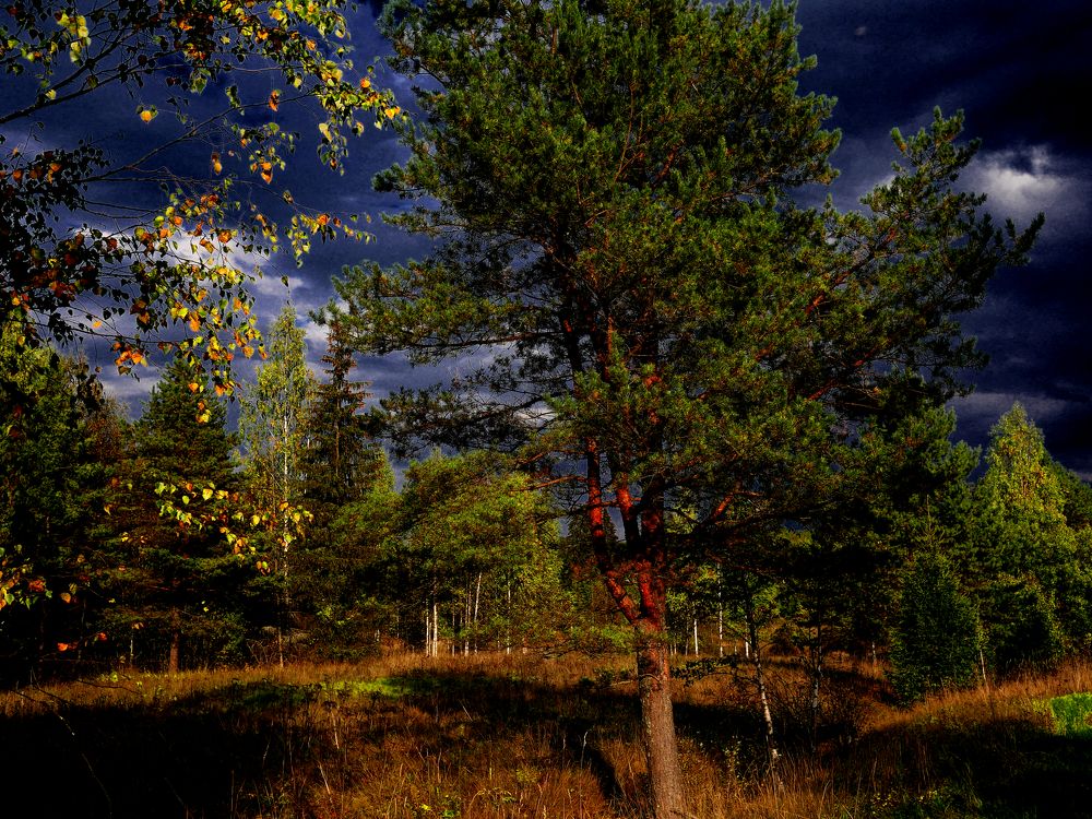 Photograph by Александр Пинаев