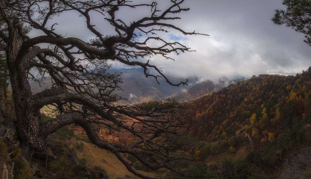 Photograph by Наргиза Кахарова