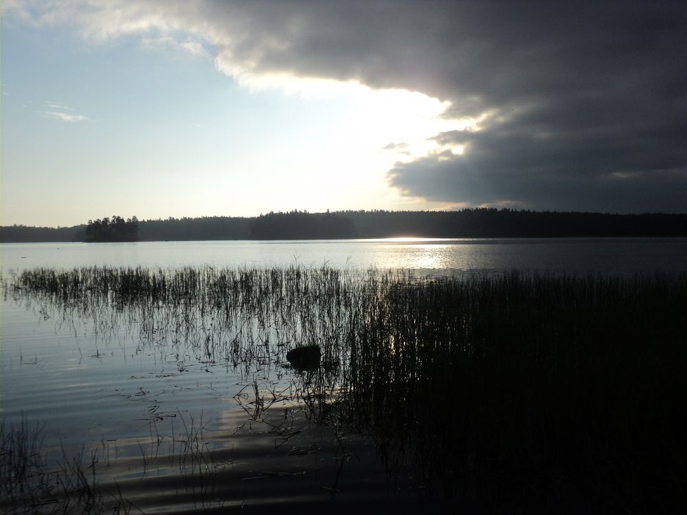 Photo #8266202