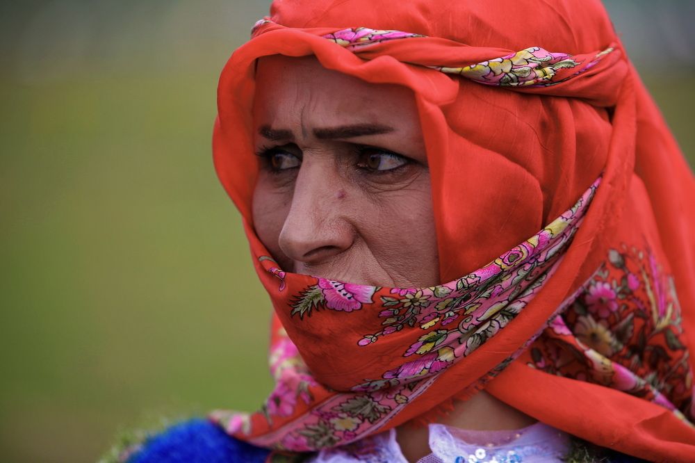 Photograph by mohammadreza behmaram