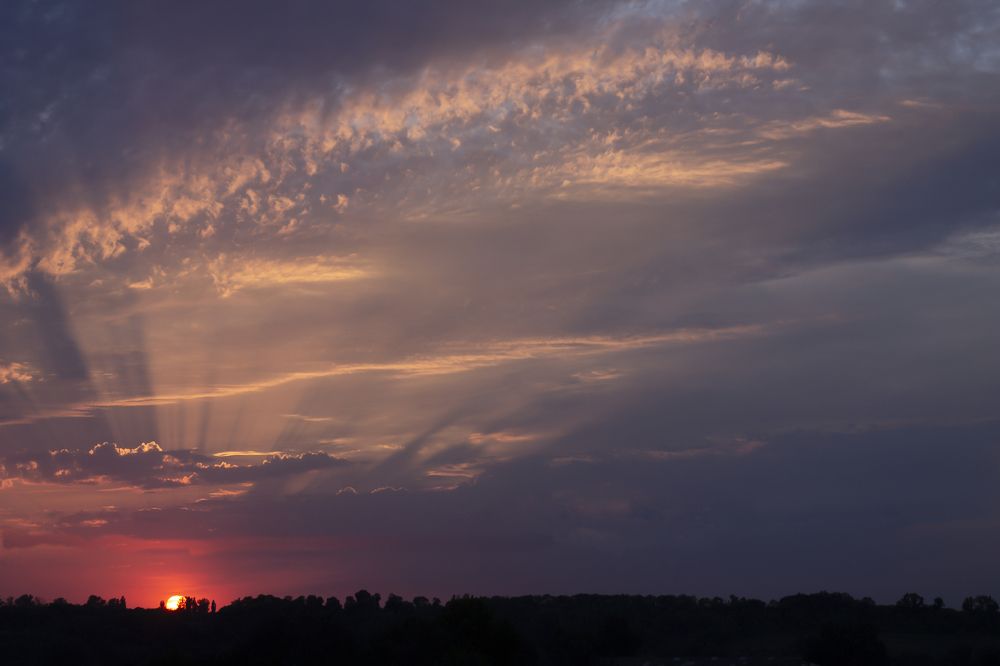 Photograph by Дарья Ващенко-Панкина