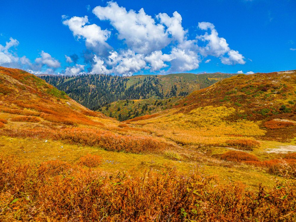 Photograph by Susobhan Biswas