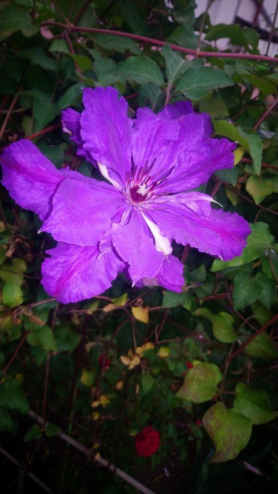 Photograph by Людмила Максименко