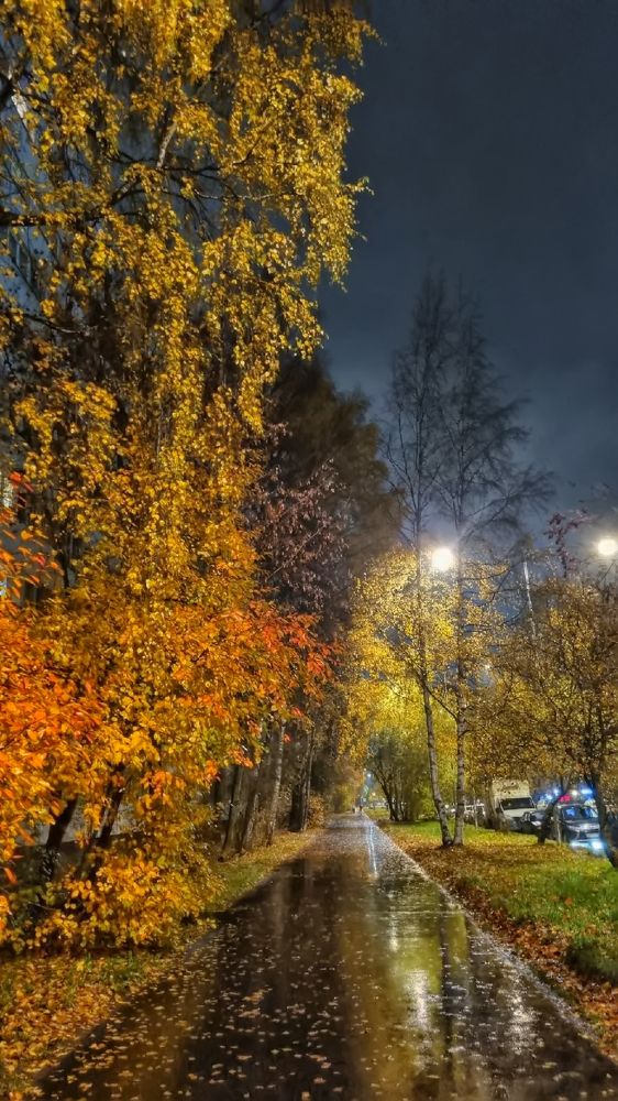 Photograph by Анна Кривицкая